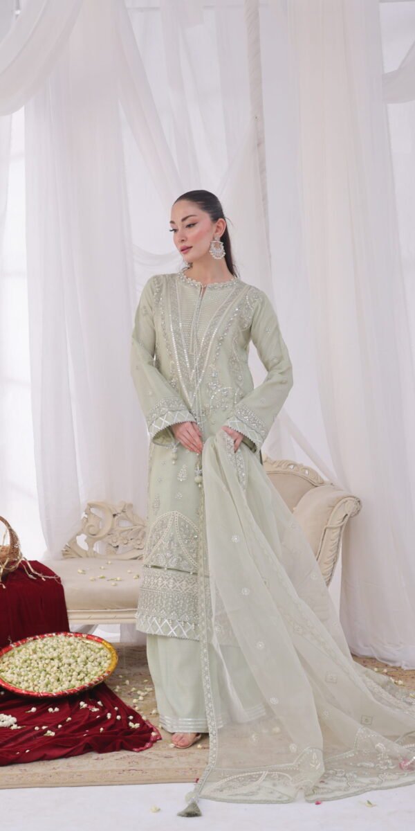 FB-232 | Mint Green | 3 Pcs Unstitch With Dyed Trouser