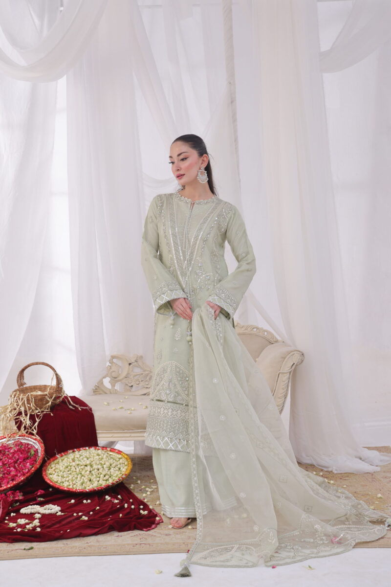 FB-232 | Mint Green | 3 Pcs Unstitch With Dyed Trouser