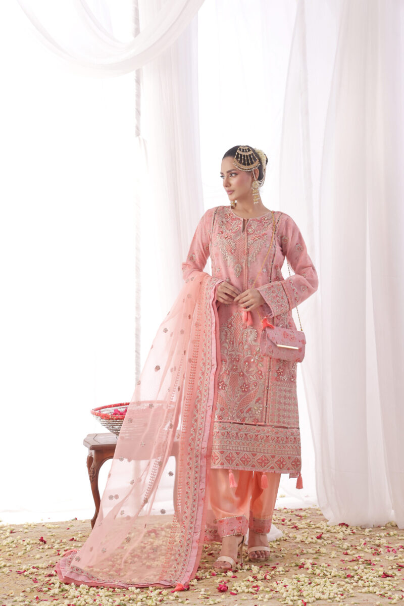 FB-203 | Soft Peach | 3 Pcs Unstitch With Dyed Trouser