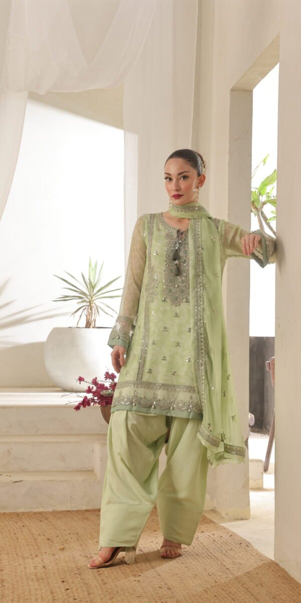 FB-206 | Mint Green | 3 Pcs Semi-Stitch Chiffon