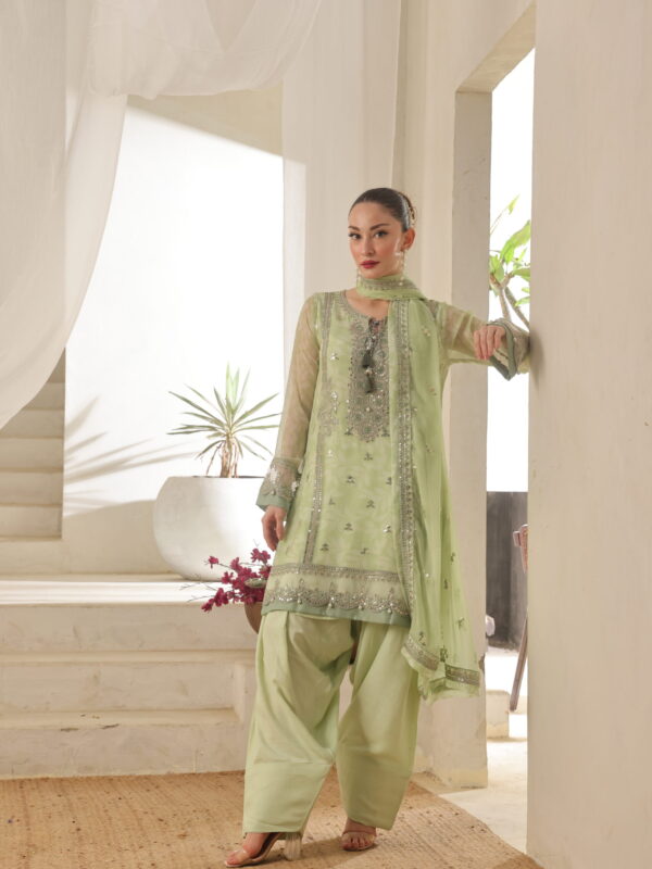 FB-206 | Mint Green | 3 Pcs Semi-Stitch Chiffon