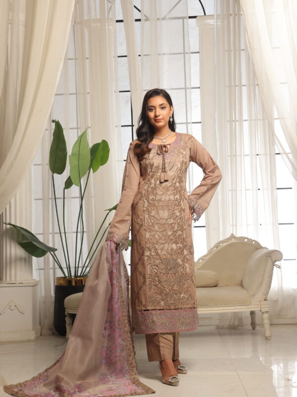 FB-160 | Rosewater Pink | 3 Pcs Unstitch With Cotton Trouser