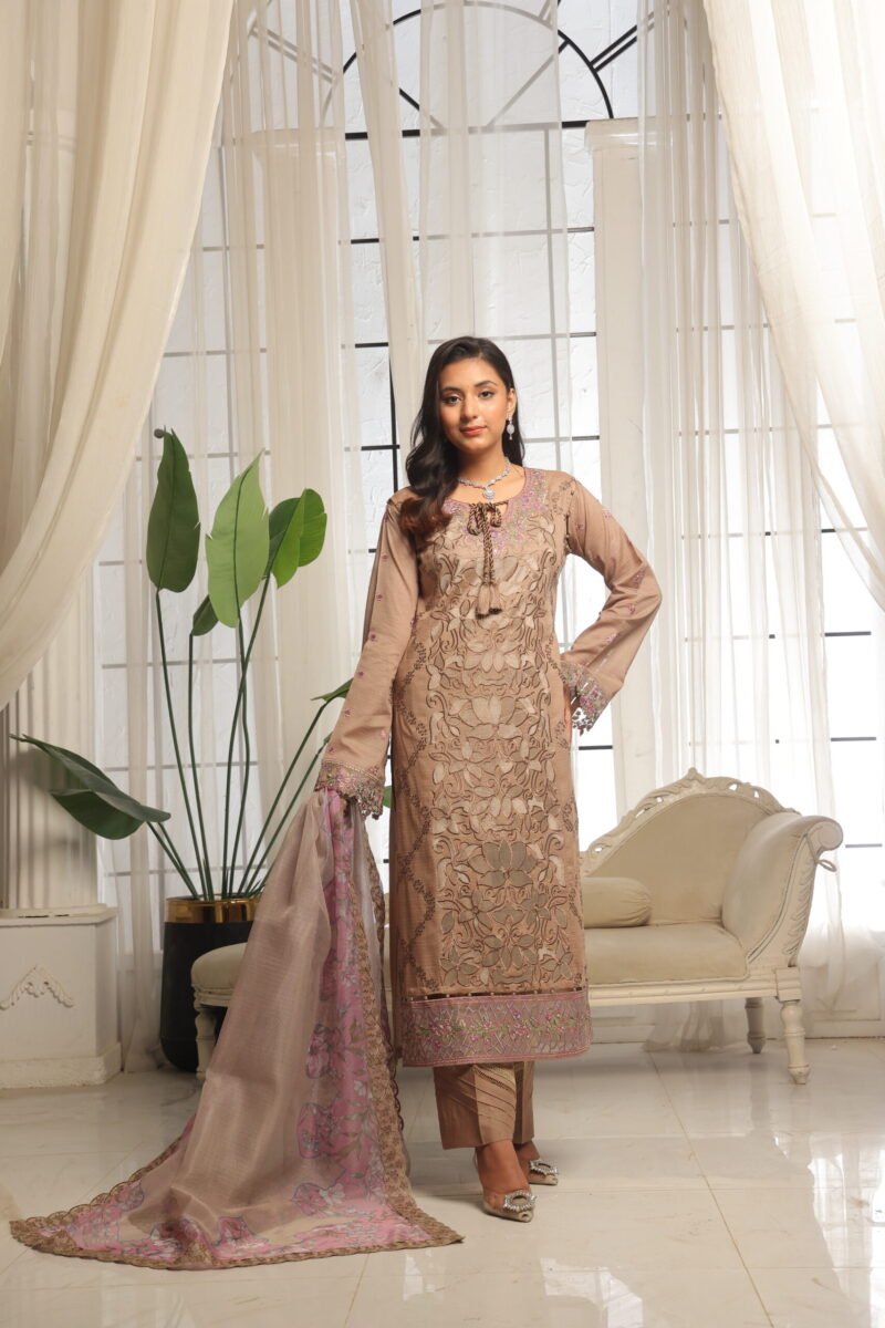 FB-160 | Rosewater Pink | 3 Pcs Unstitch With Cotton Trouser