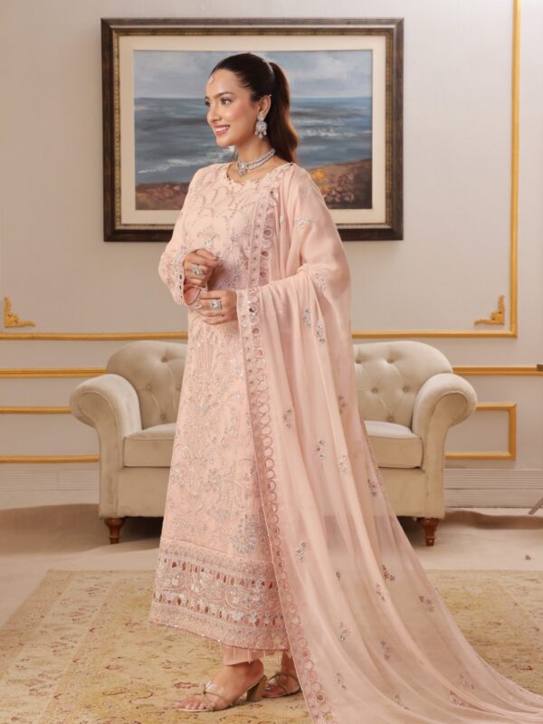 FB-213 | Petal Pink | 3 Pcs Semi-Stitch Chiffon