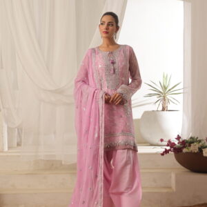 FB-205 | Blush Pink | 3 Pcs Semi-Stitch Chiffon