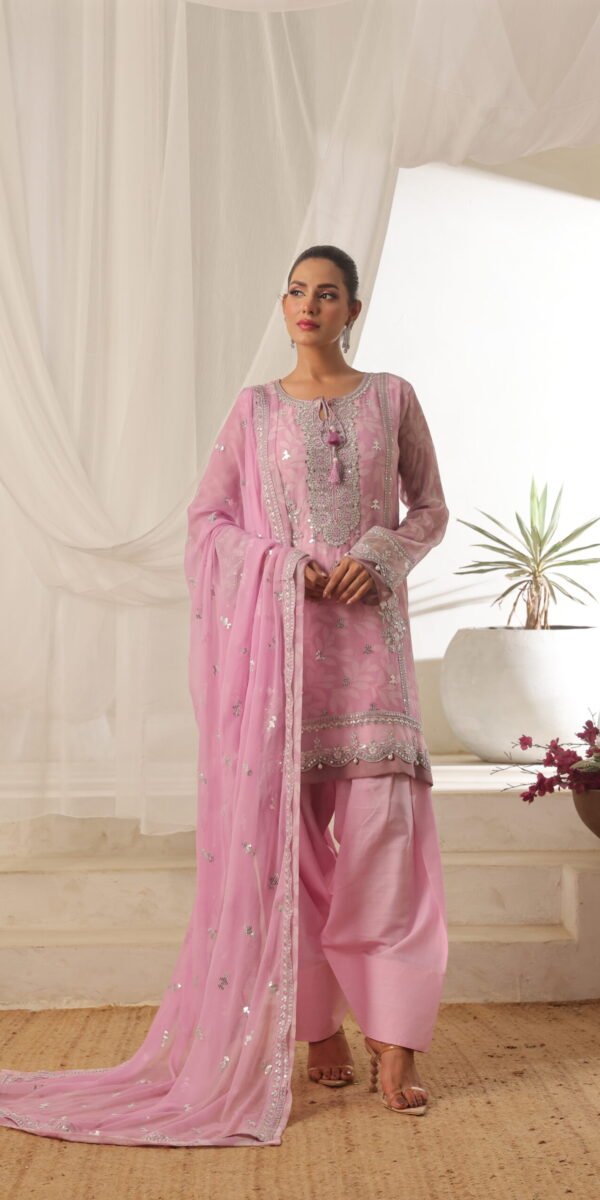 FB-205 | Blush Pink | 3 Pcs Semi-Stitch Chiffon