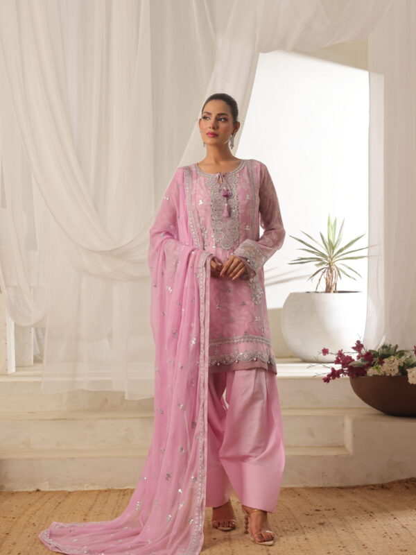 FB-205 | Blush Pink | 3 Pcs Semi-Stitch Chiffon