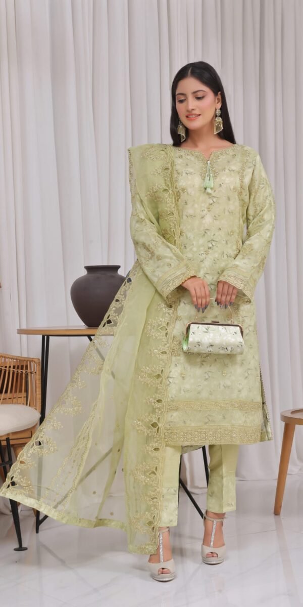 FB-164 | Pear Green | 3 Pcs Semi-Stitch