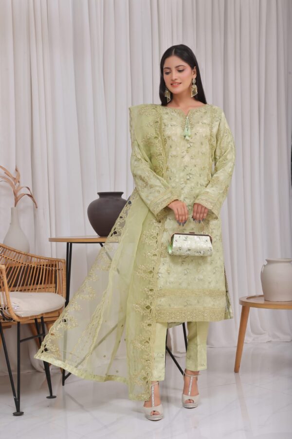 FB-164 | Pear Green | 3 Pcs Semi-Stitch