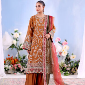 FB-235 | Copper Rust | 3 Pcs Unstitch With Dyed Trouser